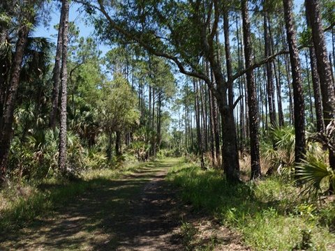 Crystal River Preserve State Park, eco-biking