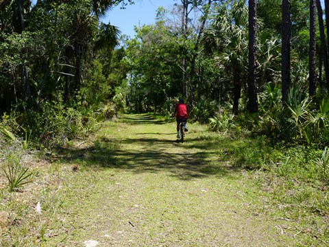 Crystal River Preserve State Park, eco-biking