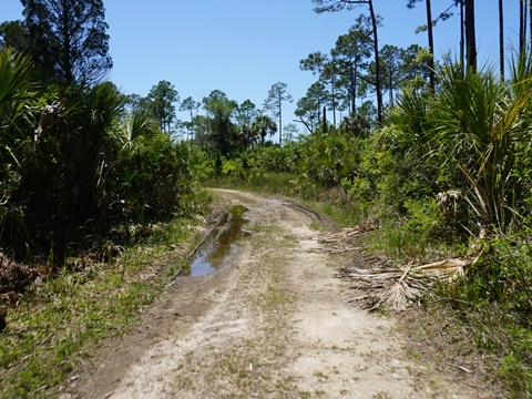 Crystal River Preserve State Park, eco-biking