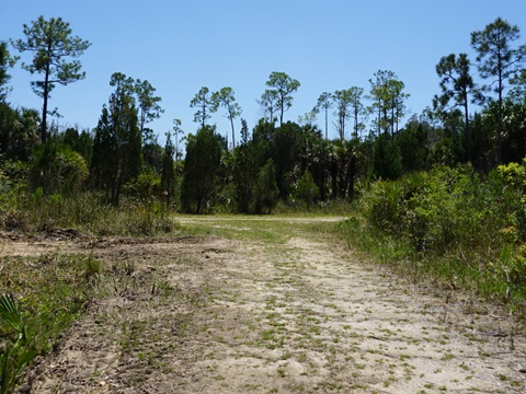 Crystal River Preserve State Park, eco-biking