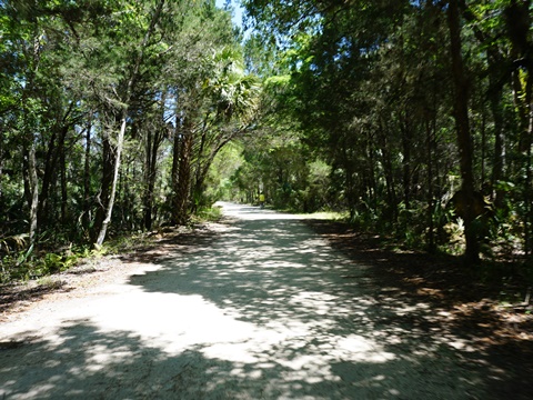 Crystal River Preserve State Park, eco-biking