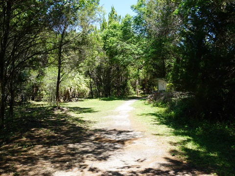 Crystal River Preserve State Park, eco-biking