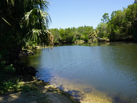 Crystal River Preserve State Park, eco-biking