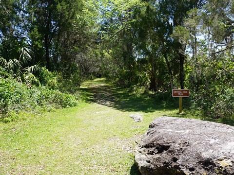 Crystal River Preserve State Park, eco-biking