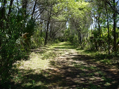 Crystal River Preserve State Park, eco-biking