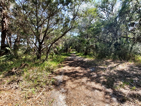 Crystal River Preserve State Park, eco-biking