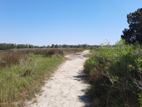 Crystal River Preserve State Park, eco-biking