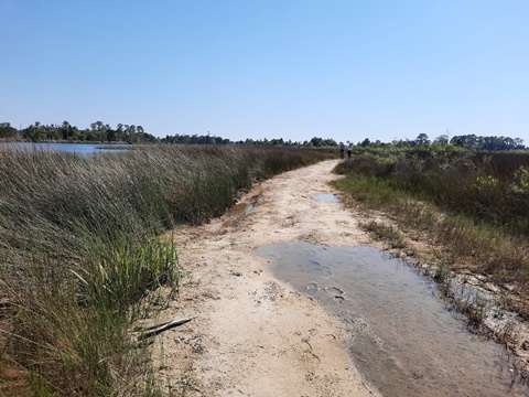 Crystal River Preserve State Park, eco-biking