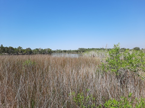 Crystal River Preserve State Park, eco-biking