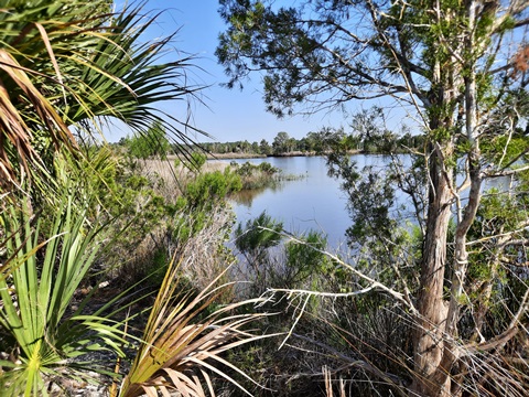 Crystal River Preserve State Park, eco-biking