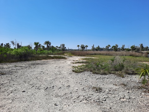 Crystal River Preserve State Park, eco-biking