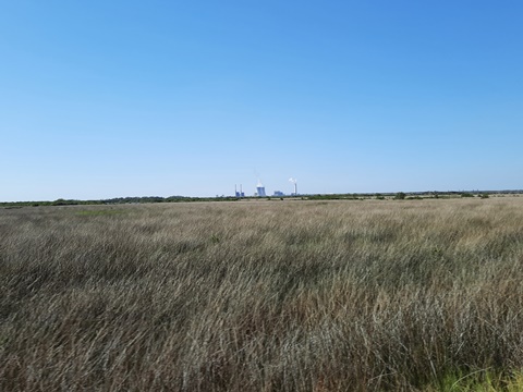 Crystal River Preserve State Park, eco-biking