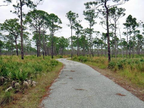 Jonathan Dickinson State Park