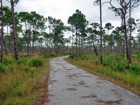 biking Jonathan Dickinson State Park, Hobe Sound, Jupiter