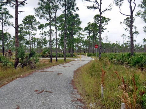 biking Jonathan Dickinson State Park, Hobe Sound, Jupiter