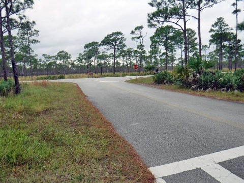 biking Jonathan Dickinson State Park, Hobe Sound, Jupiter