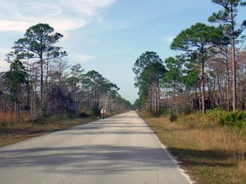 biking Jonathan Dickinson State Park, Hobe Sound, Jupiter