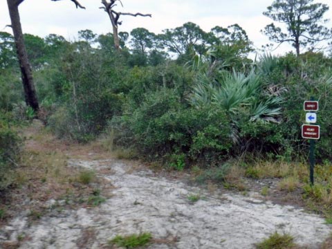 biking Jonathan Dickinson State Park, Hobe Sound, Jupiter