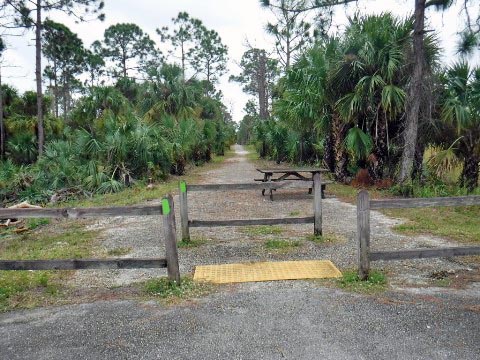 biking Jonathan Dickinson State Park, Hobe Sound, Jupiter