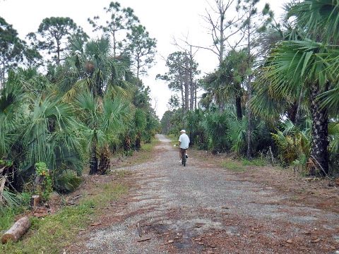 biking Jonathan Dickinson State Park, Hobe Sound, Jupiter