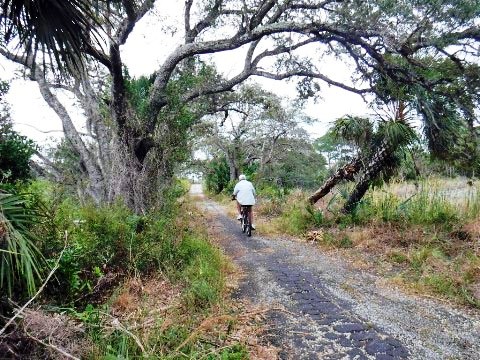 biking Jonathan Dickinson State Park, Hobe Sound, Jupiter