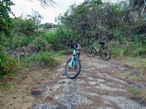 biking Jonathan Dickinson State Park, Hobe Sound, Jupiter