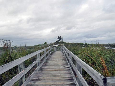 biking Jonathan Dickinson State Park, Hobe Sound, Jupiter