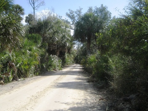 Dixie Mainline Trail, Florida eco-biking