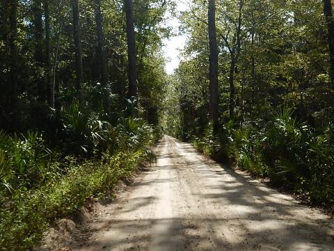 Florida Bike Trails, Dixie Mainline