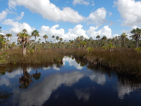 Florida Bike Trails, Dixie Mainline