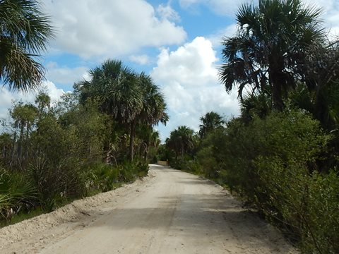 Florida Bike Trails, Dixie Mainline