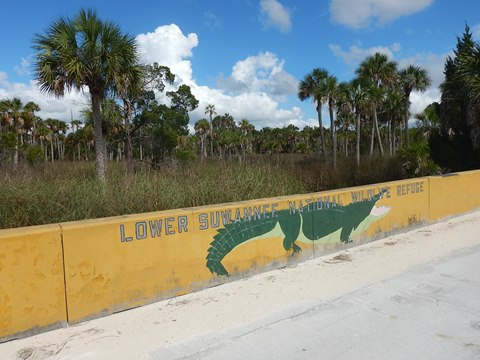 Florida Bike Trails, Dixie Mainline