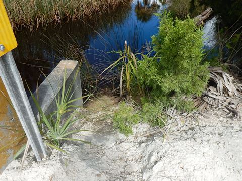 Florida Bike Trails, Dixie Mainline