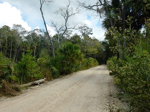 Florida Bike Trails, Dixie Mainline