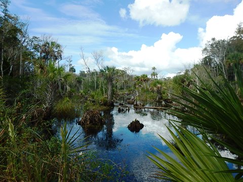 Florida Bike Trails, Dixie Mainline