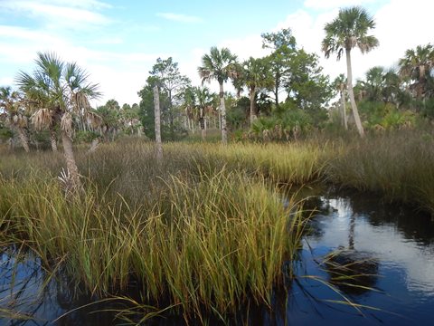 Florida Bike Trails, Dixie Mainline