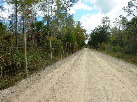 Florida Bike Trails, Dixie Mainline