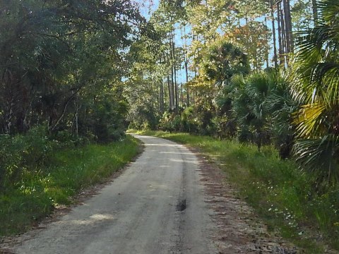 Florida Bike Trails, Dixie Mainline