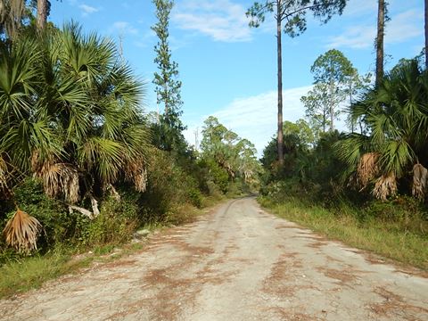 Florida Bike Trails, Dixie Mainline