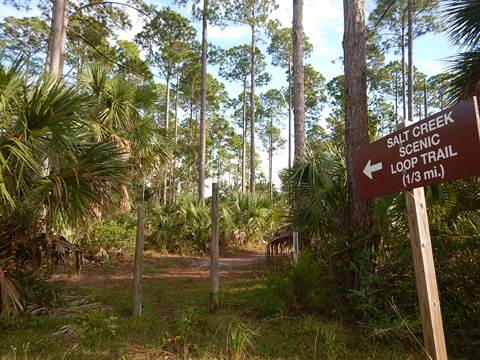 Florida Bike Trails, Dixie Mainline