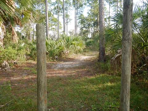 Florida Bike Trails, Dixie Mainline