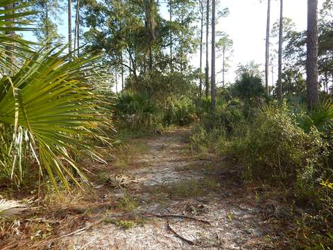 Florida Bike Trails, Dixie Mainline