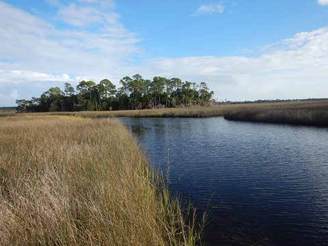 Florida Bike Trails, Dixie Mainline