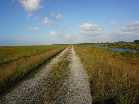 Everglades, Southern Glades Trail