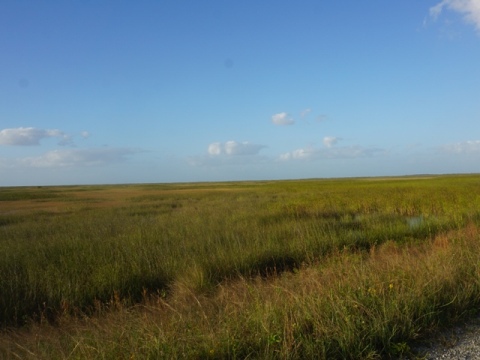 Everglades, Southern Glades Trail