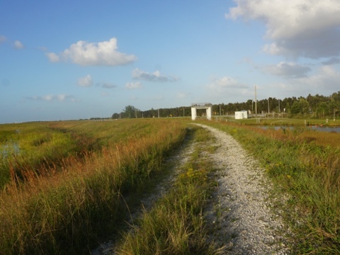 Everglades, Southern Glades Trail