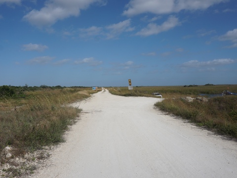 Everglades, Southern Glades Trail