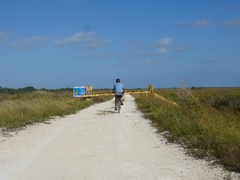 Everglades, Southern Glades Trail