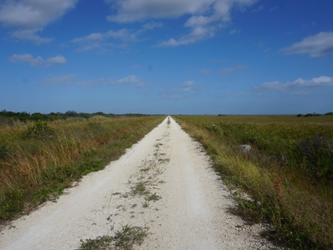 Everglades, Southern Glades Trail