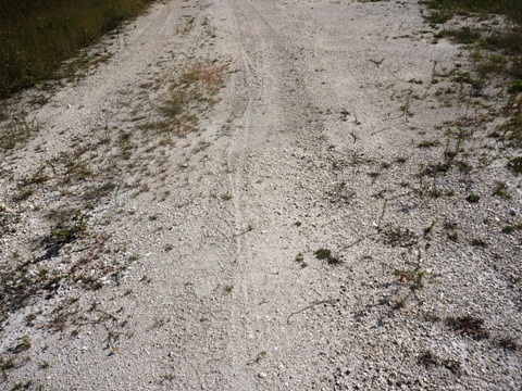 Everglades, Southern Glades Trail